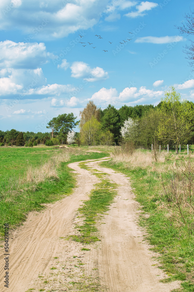 Spring landscape in Podlasie, sunny May day Spring landscape in Podlasie, sunny May day