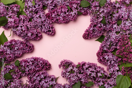 Lilac branches on color background, top view. Spring flowers concept