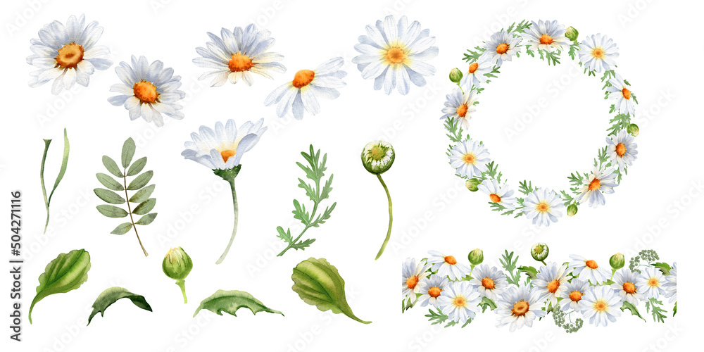 Daisy flower watercolor clipart. Chamomile illustration isolated on white. Perfect for wedding invitation, home decor, scrapbooking, sticker, packaging, greeting cards, textiles