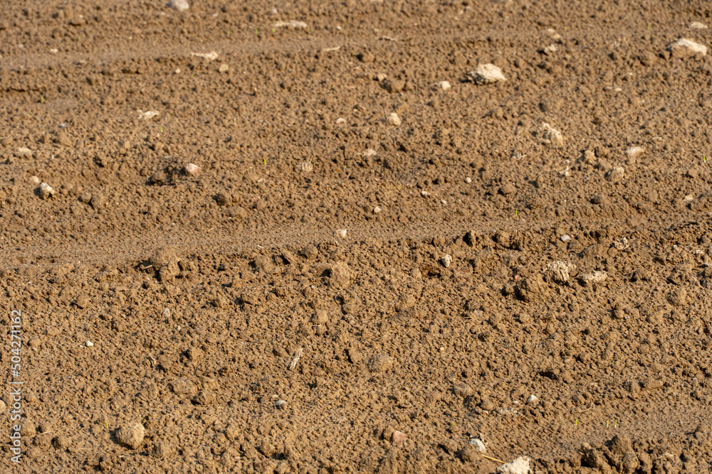 plowed agricultural field. An ecologically clean place for growing grain crops. plowed agricultural field. An ecologically clean place for growing grain crops.