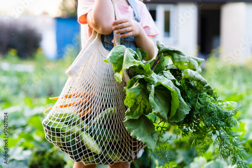 eco bag net with organic vegetables from the garden, harvest from your own farm