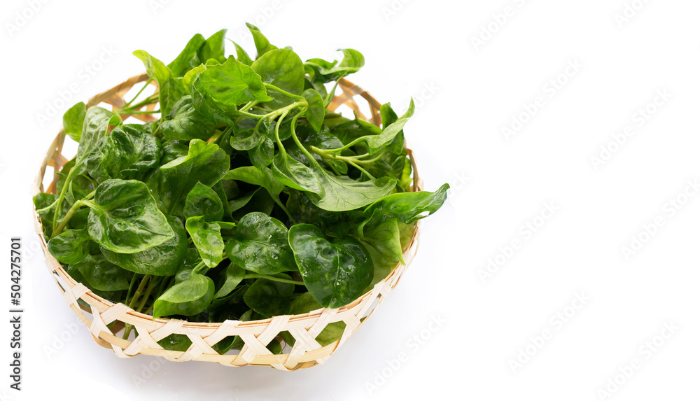 Watercress in bamboo basket on white background Watercress in bamboo basket on white background