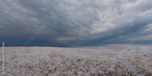 Beach Entirely of Shells, Francois Peron National Park, Australia
 photo