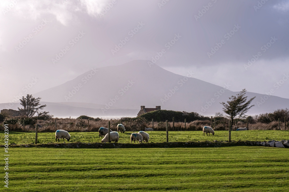 Passing rainstorm, Achill Island, County Mayo, Ireland