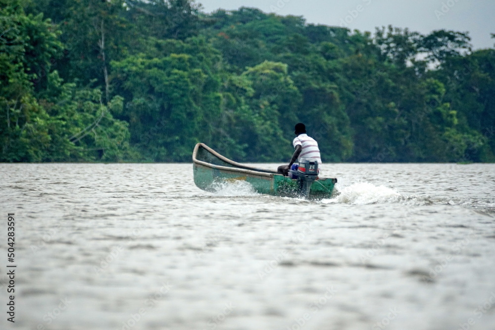 Naklejka premium Boat running in the river, in the wetland outside of San Lorenzo, Ecuador