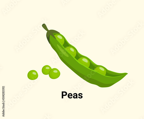 Peas illustration set. Vegetable icon, market, store, groceries. Vegetable Vector drawing. Hand drawn style.
