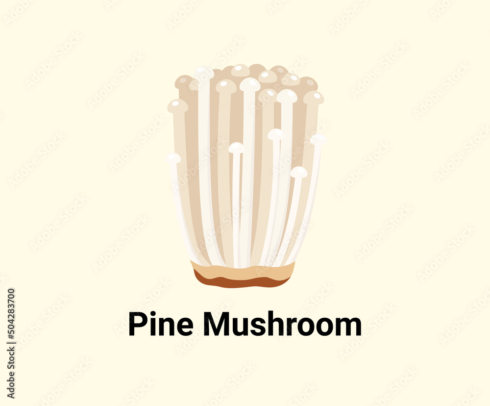 Enoki mushroom in a delicious and neat style illustration set