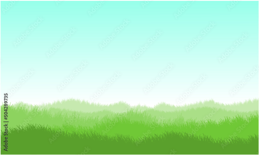 grassy land, grassy field, green meadow