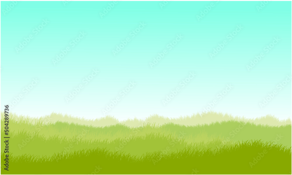 grassy background, grassy landscape, lawn