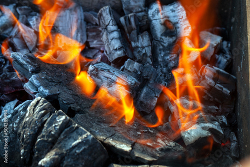 a fire made of logs with a bright flame at a camping while cooking