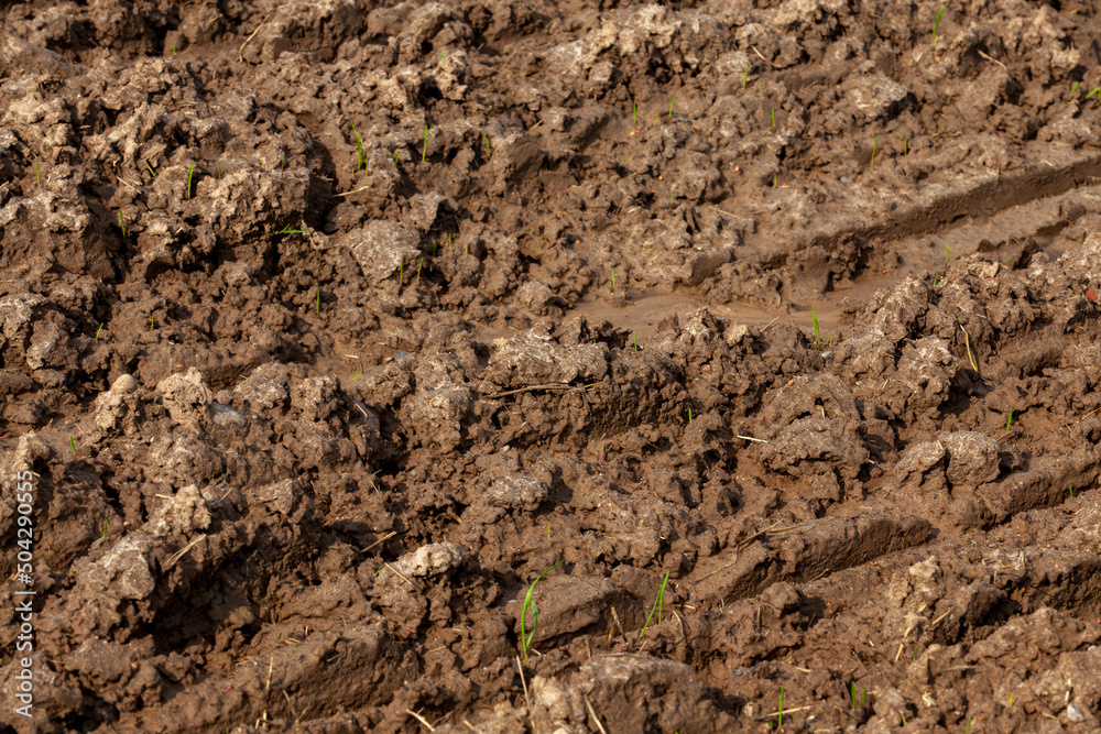 part of the territory of an agricultural field with fertile soil part of the territory of an agricultural field with fertile soil