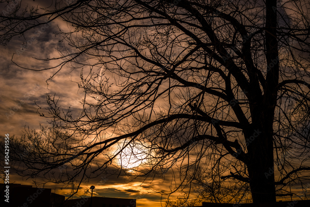 Naklejka premium Bright Sun Dark Sky