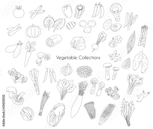 Various Vegetable drawing collections