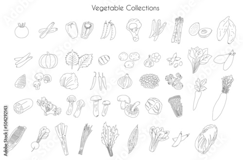 Various Vegetable drawing collections