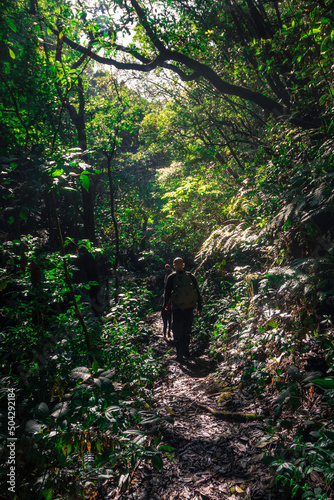 group of mountaineers walking along a trail surrounded by tropical rain forest in the mountains of Costa Rica.