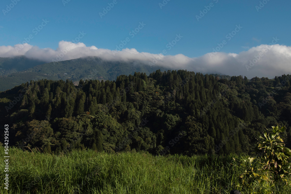 landscape full of trees in a mountains of Costa Rica on a beautiful day
