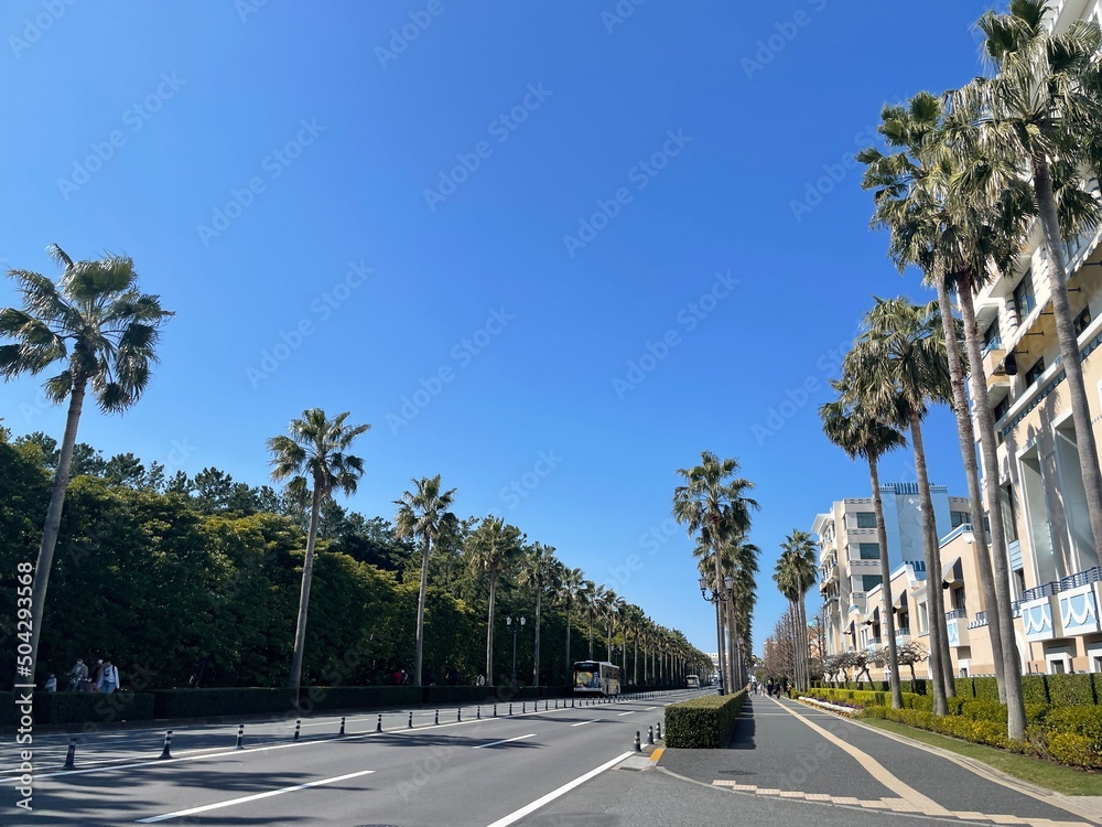 Naklejka premium ヤシの木のある道路