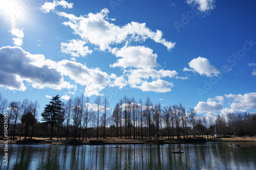 公園の青空と雲