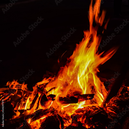 Fire flames on black background, Blaze fire flame texture background, Beautifully, the fire is burning, Fire flames with wood and cow dung bonfire