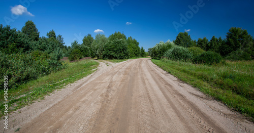 unpaved road with different plants growing on the side of the road