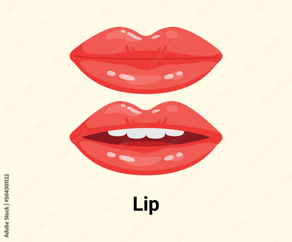 mouse illustration set. oral, women, lips Vector drawing. Hand drawn style. mouse illustration set. oral, women, lips Vector drawing. Hand drawn style.