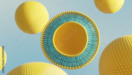 Liposome circular bilayer structure membrane. 3d illustration