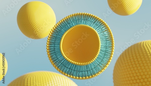 Liposome circular bilayer structure membrane. 3d illustration photo