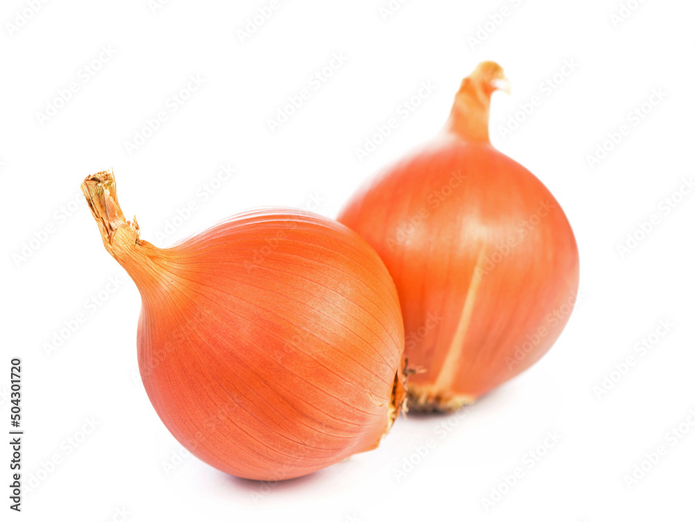 Fototapeta premium yellow onion isolated on white background close up