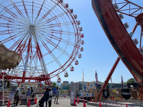 ferris wheel in the park