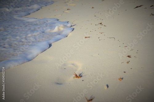 footprints in the sand