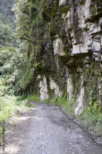 Death road, Camino de la Muerte, Yungas North Road between La Paz and Coroico, Bolivia