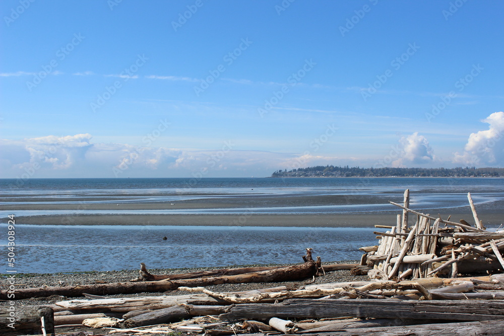 Low tide and a pile of driftwood at a Pacific Northwest beach Low tide and a pile of driftwood at a Pacific Northwest beach
