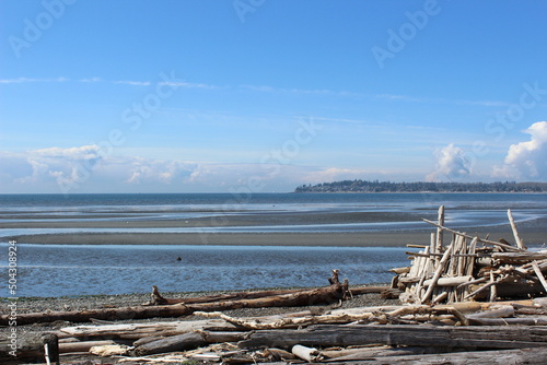 Low tide and a pile of driftwood at a Pacific Northwest beach © octobersun