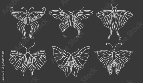 Art nouveau style butterfly basic element. 1920-1930 years vintage design. Symbol motif design. 
