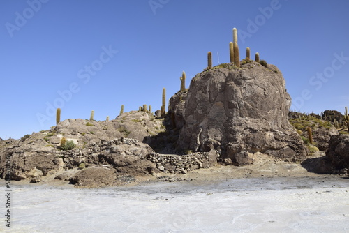 Isla Incahuasi in the middle of the world's biggest salt plain Salar de Uyuni, Bolivia.