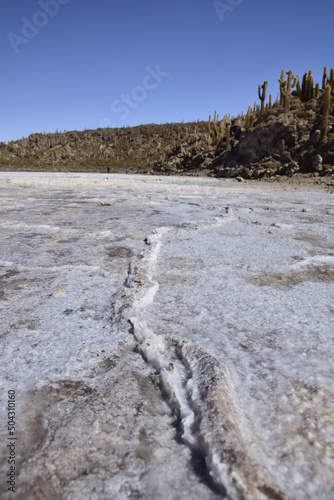 Isla Incahuasi in the middle of the world's biggest salt plain Salar de Uyuni, Bolivia. photo