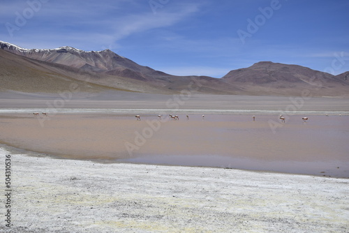 Lake between the mountains, with pink flamingo. Off-road tour on the salt flat Salar de Uyuni in Bolivia