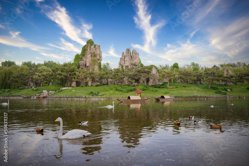 Landscape scene with swans swimming on the water © 文普 王