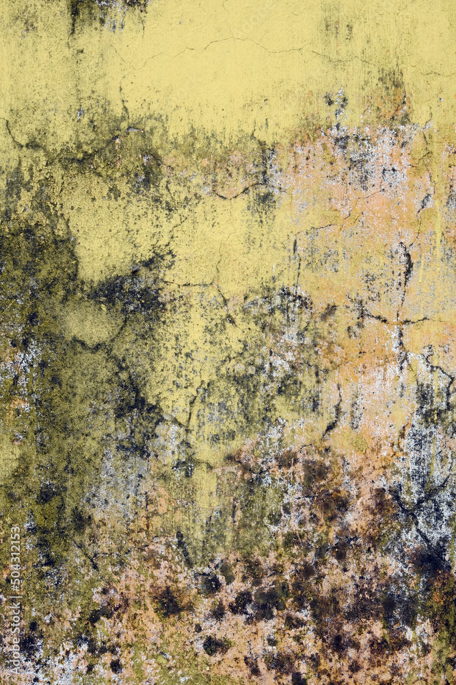 Fototapeta premium old wall background