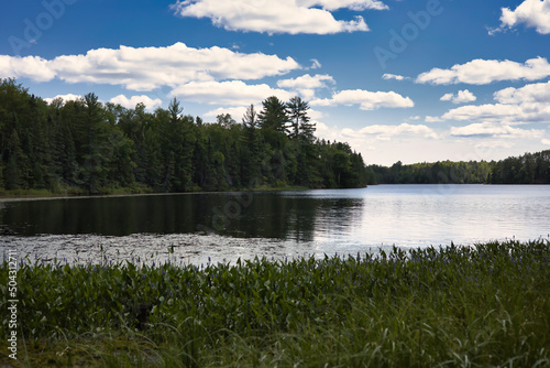 Summer Lake in Forest 