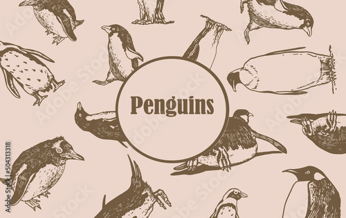 pattern penguins with text in the middle, stylish vintage cover for for fabric, postcards, wallpapers,graphical vector illustration with sepia background