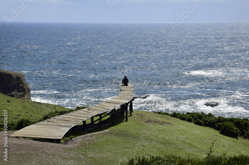 Muelle de las Almas (Dock of Souls) at Cucao - Chiloe Island, Chile photo