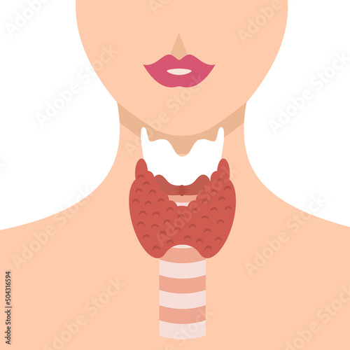 Human anatomy. Thyroid gland in body. Enlarged thyroid gland in the shape of a butterfly. Vector illustration isolated on a white background