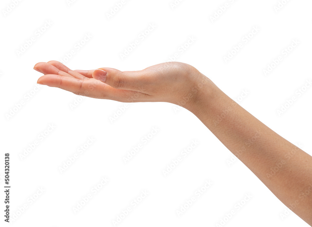Female hand with palm facing up on white background Female hand with palm facing up on white background