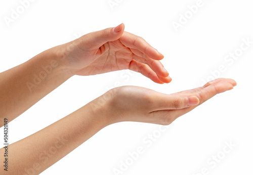 Beautiful female hands on white background.