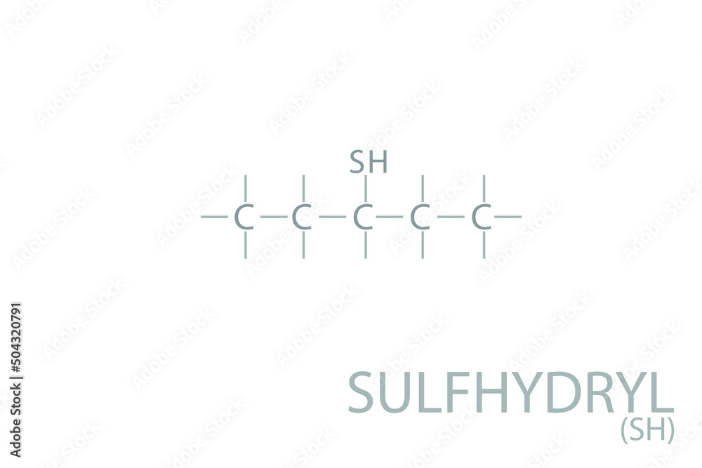 Sulfhydryl molecular skeletal chemical formula.	
