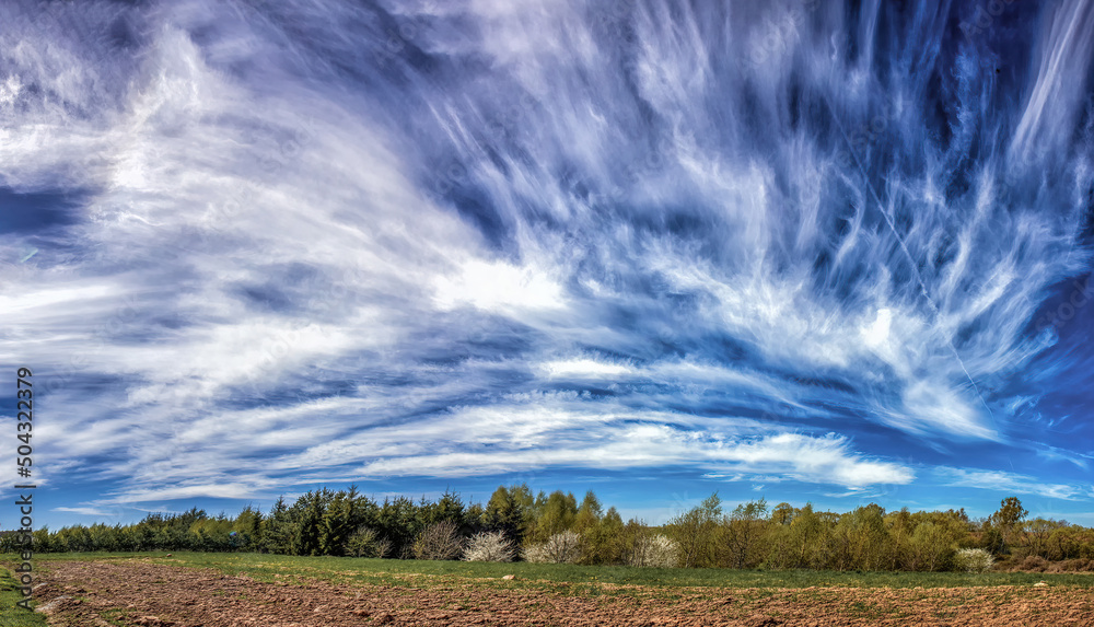 Obraz premium plume clouds are flying in the blue sky