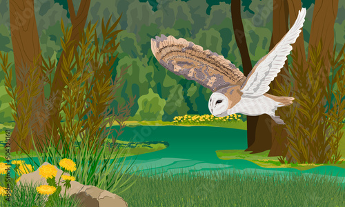 A large barn owl flies over a large green forest swamp in a dark dense forest. wild birds of the forest. Realistic vector landscape
