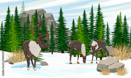 Herd of reindeer in a winter mountain valley. Wild animals of the tundra and taiga. Realistic vector landscape