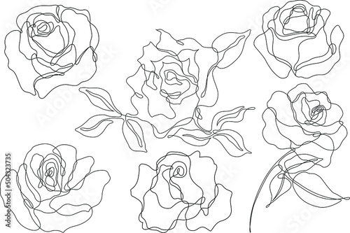 Rose flower outline vector. Set of hand drawn sketches. Line Ink drawing. Eps 10